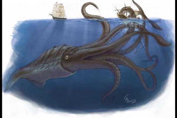 Kraken com зеркало