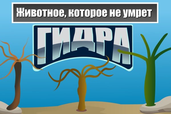 Кракен маркетплейс магазин