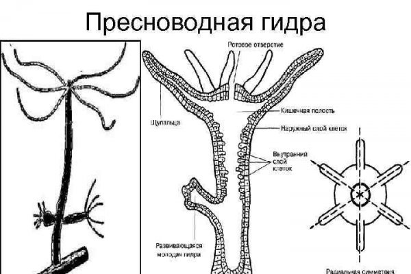 Кракен регистрация